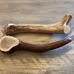 LARGE Elk/Deer Premium Antler Dog Chew 1 pc Oregon Antler Works image 2