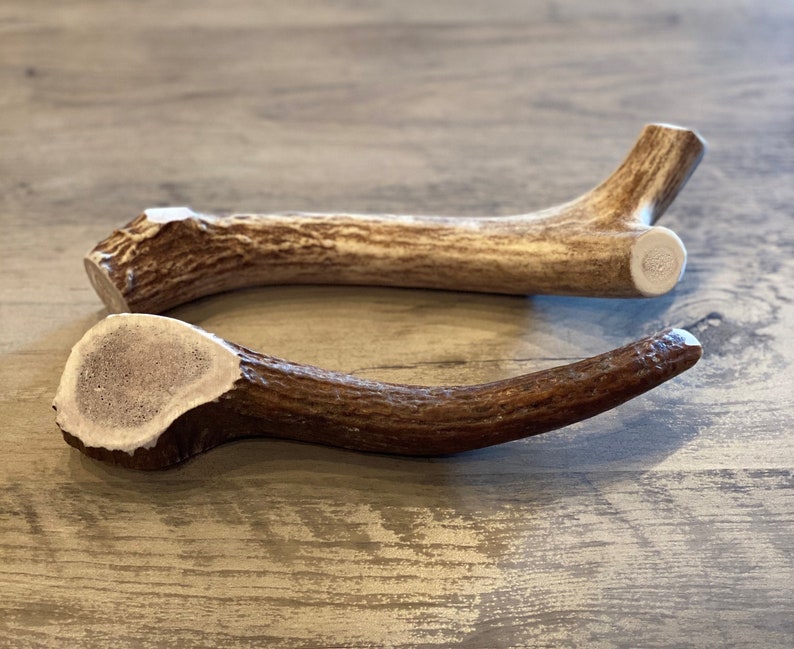 May include: Two natural deer antlers, one light brown and one dark brown, are displayed on a wooden surface. The antlers have a textured appearance and varying shades of brown and white. They are likely intended for pet use.