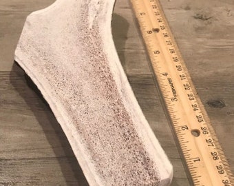 Könnte beinhalten: Ein weißer Knochen-Kauknochen mit rauer Textur. Der Knochen ist etwa 18 cm lang und liegt neben einem Lineal.