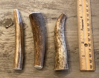 May include: Three antler chews of varying sizes and shapes, with a ruler for scale. The antler chews are a light brown color with darker brown markings.