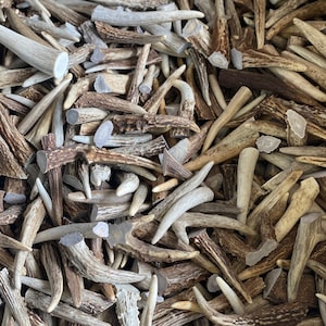 FIVE-PACK (5) LARGE Top Grade Deer/Elk Antler Tips *Not Chews*