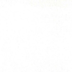 White Blizzard Fleece low price fleece free shipping available  White fabric for quilting sewing or craft projects SHIPS FAST F518