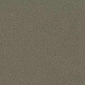 May include: A solid, dark green textured background.