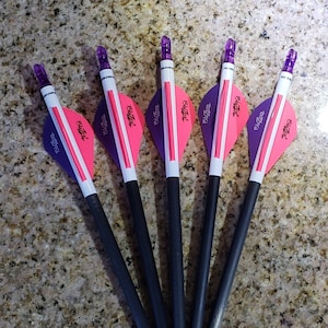 Carbon Arrow Ballpoint Pen: Hot Pink/Purple Archery Gift