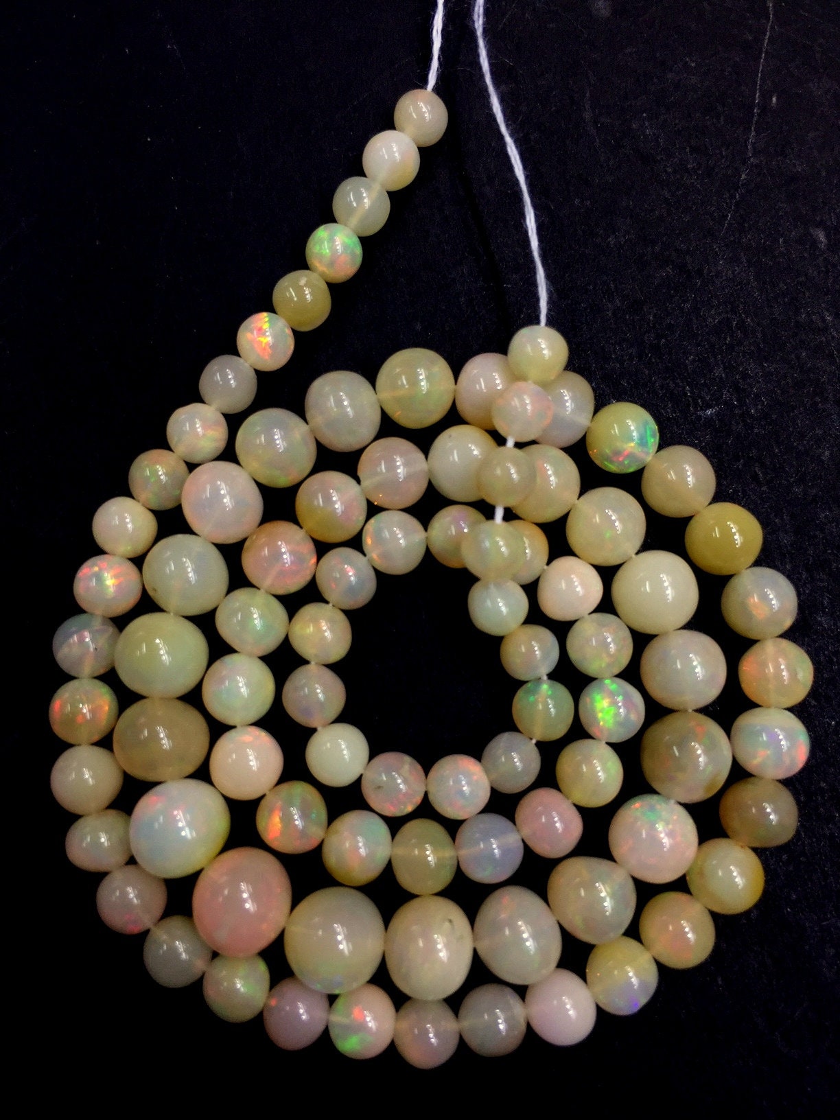 Nicole Beads Wholesale 2025 www.birddogsafield