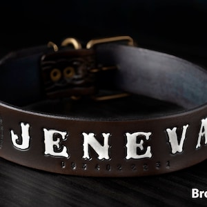 Genuine Leather Dog Collar, Customized Dog Collar, Engraved Leather Dog Collar, Personalized Leather Dog Collar, Personalized Dog Collar
