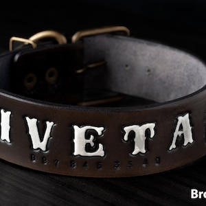 Personalized Dog Collar, Genuine Leather Dog Collar, Engraved Leather Dog Collar, Customized Dog Collar, Personalized Leather Dog Collar