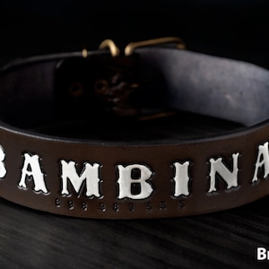 Genuine Leather Dog Collar, Custom Dog Collar with Name, Leather Dog Collar, Personalized Dog Collar, Personalized Leather Pet Collar
