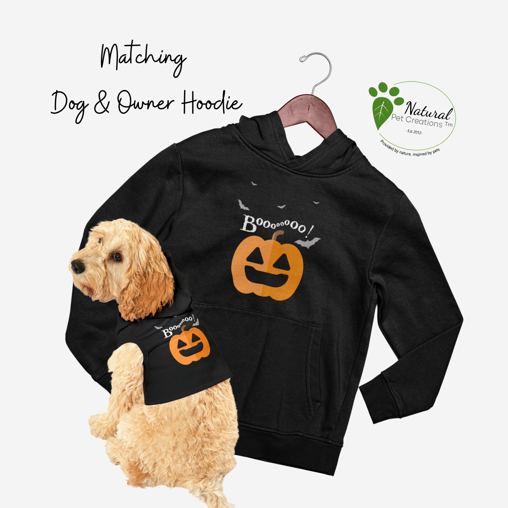Matching dog clearance and owner sweaters
