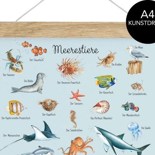 SEA ANIMALS BLUE Poster 50 X 70 Cm Unframed/framed Animal - Etsy Ireland SEA ANIMALS BLUE Poster 50 X 70 Cm Unframed/framed Animal - Etsy Ireland