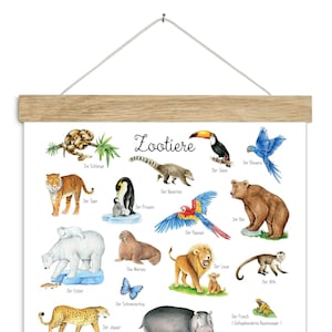 Zootiere Poster DINA3 ungerahmt / gerahmt  Lernposter Insekten Kinderzimmer Tierposter wilde Tiere Kindergarten Waldtiere Schulanfang