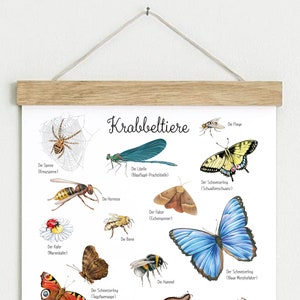 Creepy Animals Poster DINA3 unframed / framed Learning Poster Insects Children's Room Animal Poster Butterfly Kindergarten Forest Animals School start