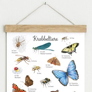 Krabbeltiere Poster DINA3 ungerahmt / gerahmt Lernposter Insekten Kinderzimmer Tierposter Schmetterling Kindergarten Waldtiere Schulanfang