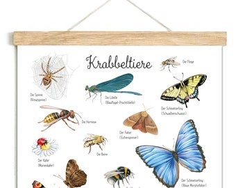 KRABBELTIERE Poster 50 x 70cm ungerahmt Tierposter Insekten Lernposter Schulanfang Kinderposter Kinderzimmer Schule Kindergarten