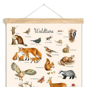 WALDTIERE BEIGE Poster 50x70cm ungerahmt Tierposter Lernposter Schulanfang Kinderposter Kinderzimmer Wandbild Schule Kindergarten