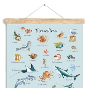MEERESTIERE BLAU Poster 50 x 70cm ungerahmt Tierposter Lernposter Schulanfang Kinderposter Kinderzimmer Wandbild Schule Kindergarten
