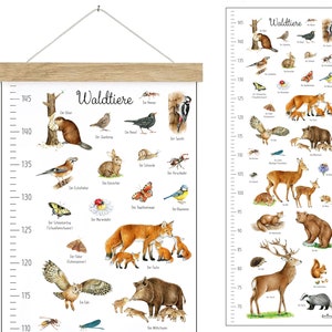 MESSLEISTE WALDTIERE WEIß 29,7 x 84 cm ungerahmt/gerahmt Tierposter Lernposter Schulanfang Kinderzimmer Wandbild Schule Kindergarten