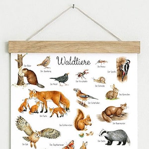 Din A3 Kunstdruck ungerahmt / gerahmt WALDTIERE AQUARELL WEIß • Waldkindergarten Poster Tiere Wald Kinderzimmer Wartezimmer Babyzimmer