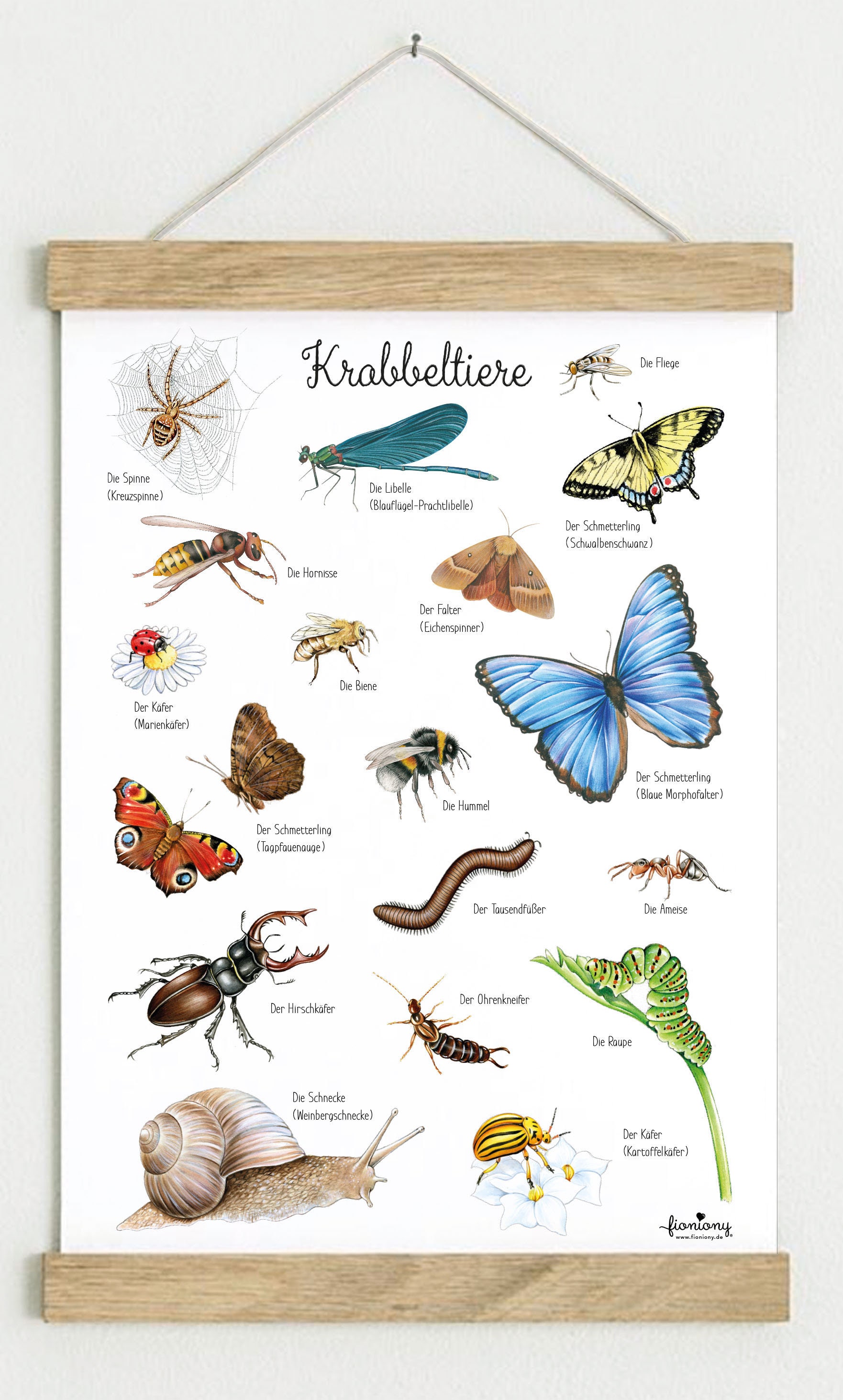 Creepy-crawlies Poster DINA3 Unframed / Framed Learning Poster - Etsy Creepy-crawlies Poster DINA3 Unframed / Framed Learning Poster - Etsy