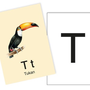 1 Postkarte T wi Tukan Ergänzungskarte zum ABC Karten Set