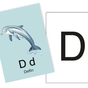 1 Postkarte D wie Delphin Ergänzungskarte zum ABC Karten Set