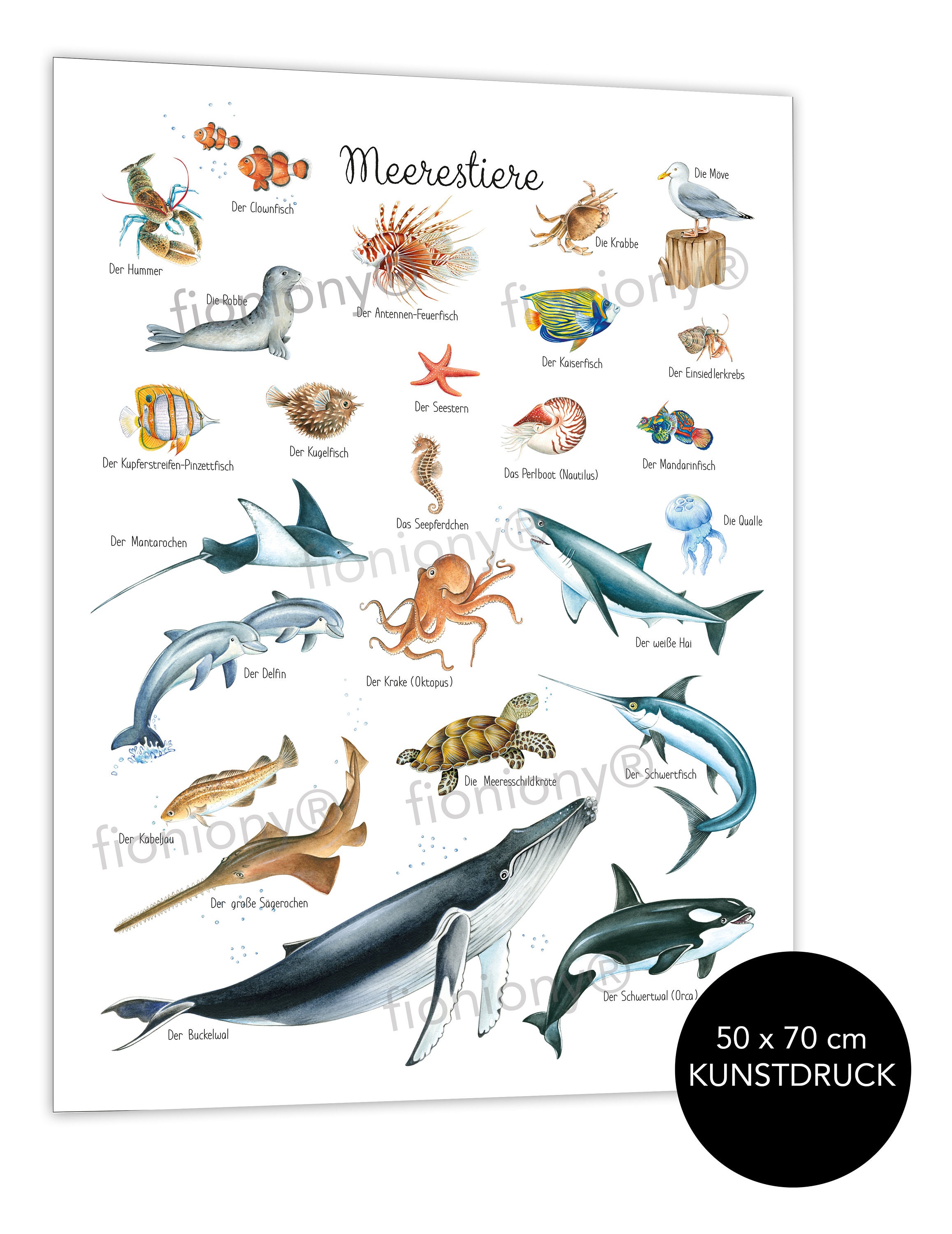 MEERESTIERE Poster 50 x 70cm ungerahmt Tierposter Lernposter | Etsy
