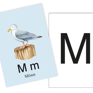 1 Postkarte M wie Möwe Ergänzungskarte zum ABC Karten Set