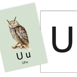 1 Postkarte U wie Uhu Ergänzungskarte zum ABC Karten Set