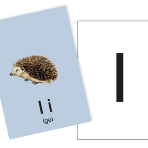1 Postkarte I wie Igel Ergänzungskarte zum ABC Karten Set