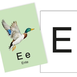 1 Postkarte E wie Ente Ergänzungskarte zum ABC Karten Set