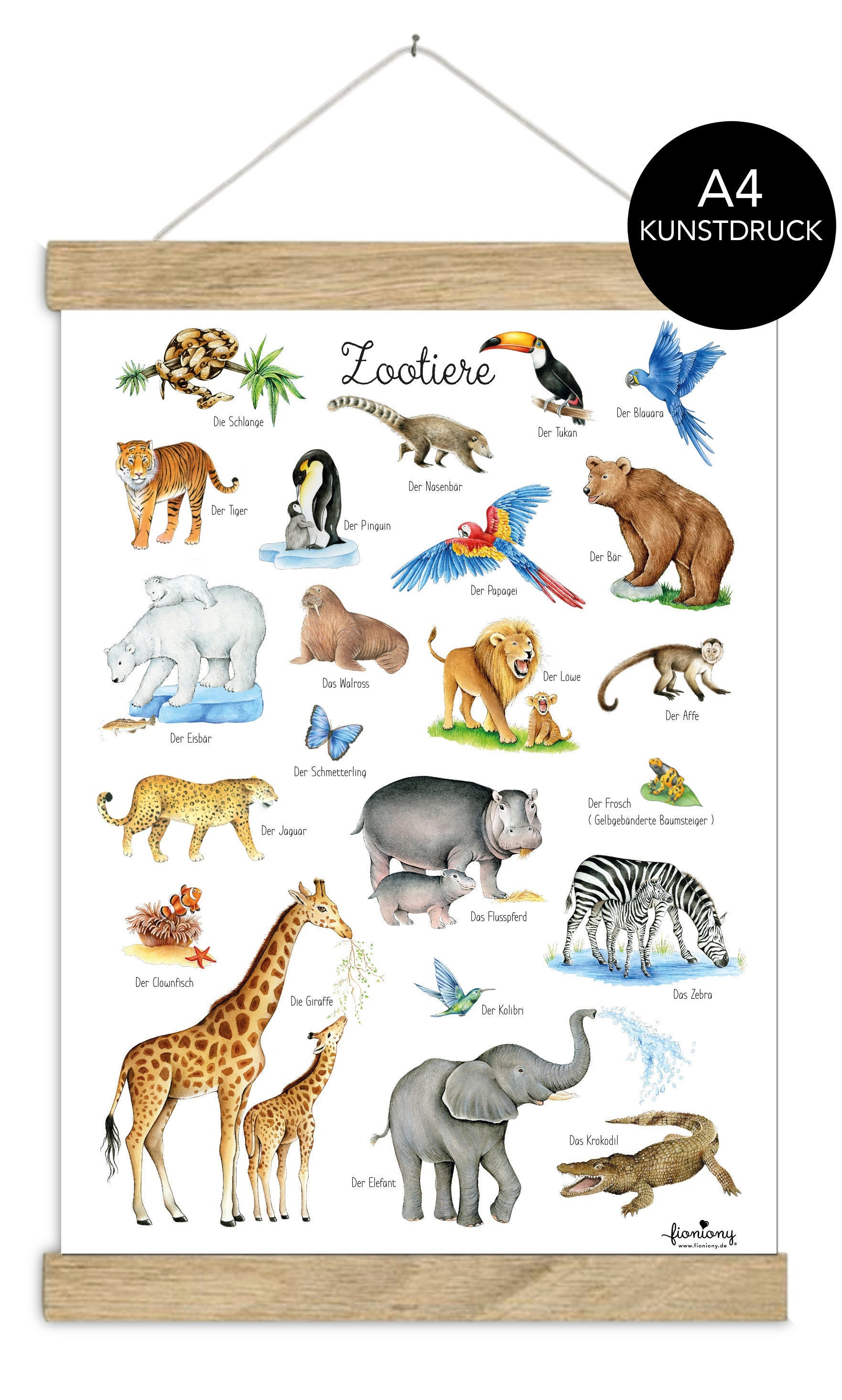 Zoo Animal Poster DIN A4 Unframed / Framed Educational Poster
