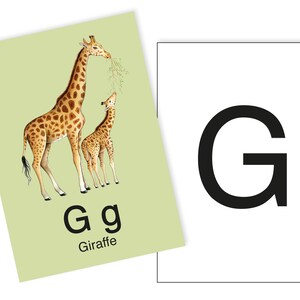 1 Postkarte G wie Giraffe Ergänzungskarte zum ABC Karten Set