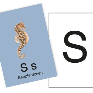 1 Postkarte S wie Seepferdchen Ergänzungskarte zum ABC Karten Set