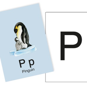 1 Postkarte P wie Pinguin Ergänzungskarte zum ABC Karten Set