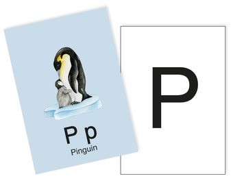 1 Postkarte P wie Pinguin Ergänzungskarte zum ABC Karten Set