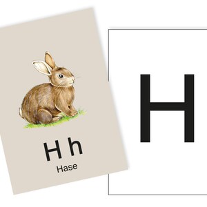 1 Postkarte H wie Hase Ergänzungskarte zum ABC Karten Set