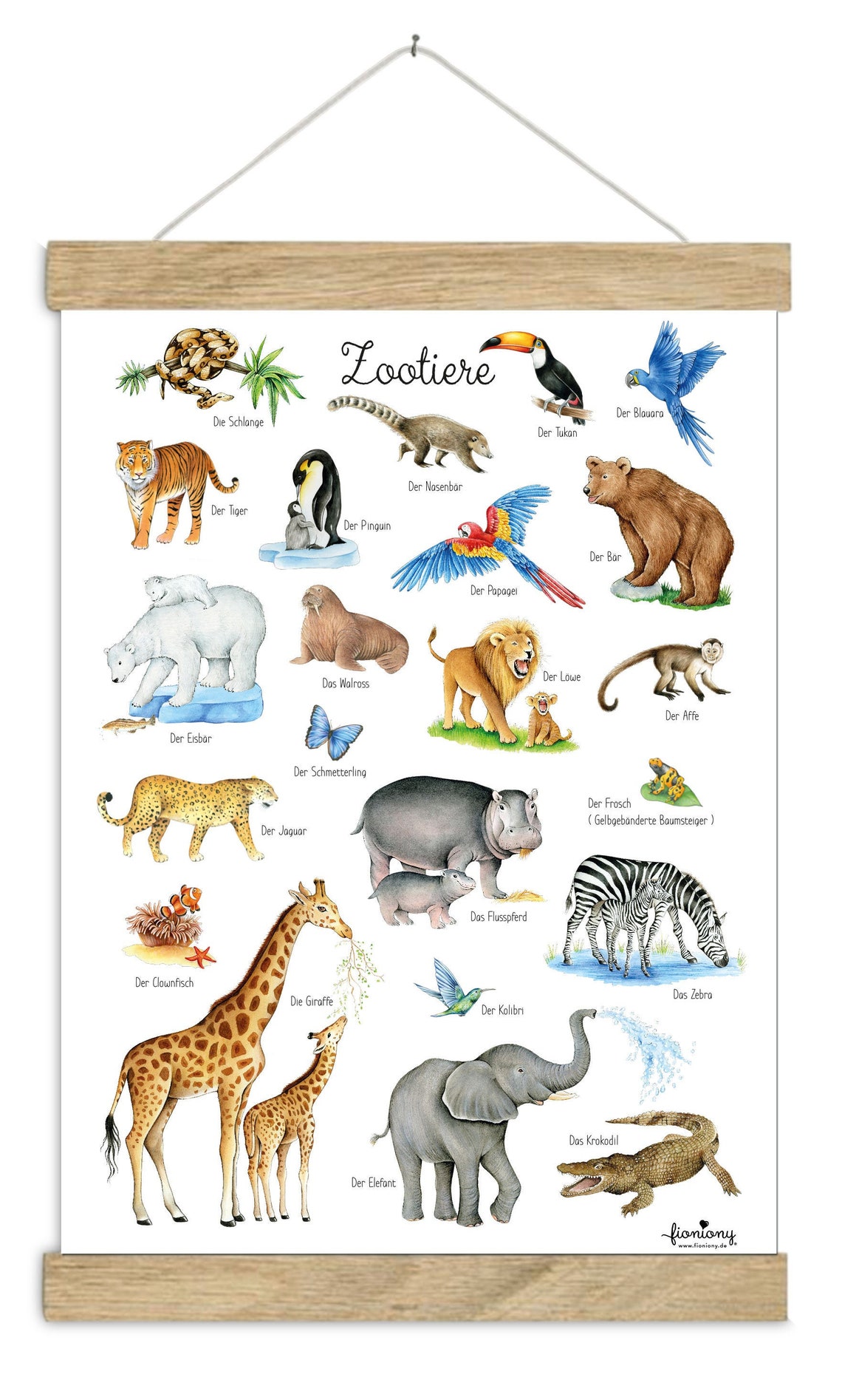 Zoo Animals Poster Dina3 Unframed Learning Poster Insects Etsy Uk