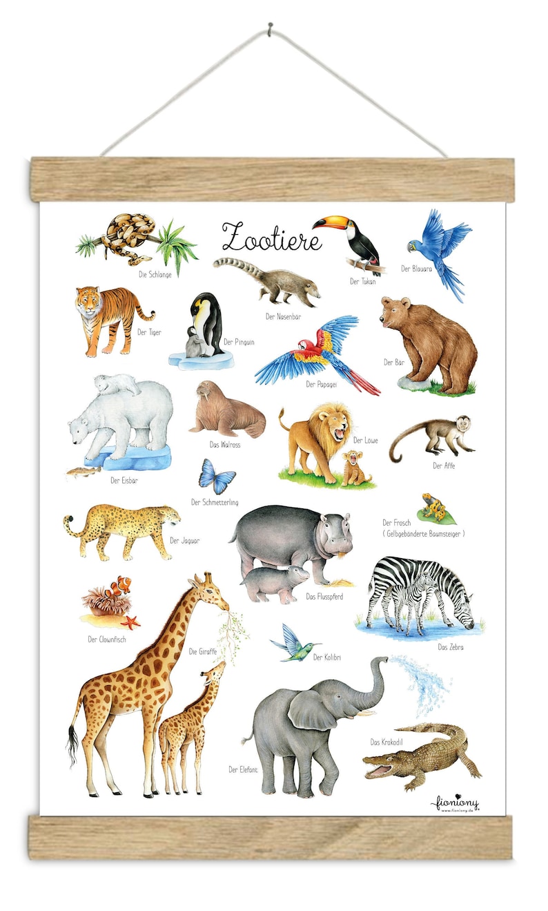 May include: A colorful educational chart featuring various animals from around the world. The chart includes illustrations of a tiger, penguin, walrus, bear, parrot, lion, monkey, polar bear, butterfly, frog, jaguar, hippopotamus, zebra, giraffe, elephant, clownfish, and a toucan. The chart is titled "Lootiere" and each animal is labeled in German.