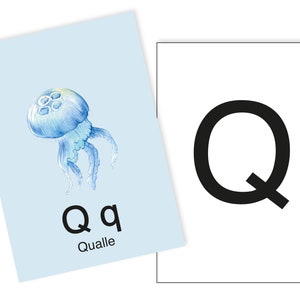 1 Postkarte Q wie Qualle Ergänzungskarte zum ABC Karten Set