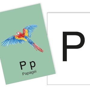 1 Postkarte P wie Papagei Ergänzungskarte zum ABC Karten Set