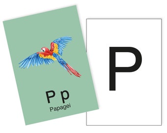 1 Postkarte P wie Papagei Ergänzungskarte zum ABC Karten Set
