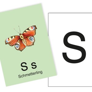1 Postkarte S wie Schmetterling Ergänzungskarte zum ABC Karten Set