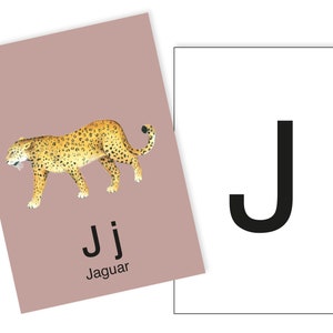 1 Postkarte J wie Jaguar Ergänzungskarte zum ABC Karten Set