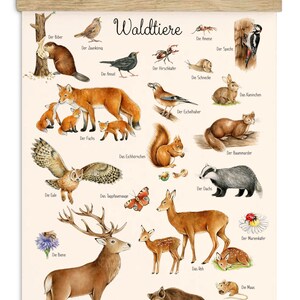 May include: A colorful illustrated chart featuring various forest animals, including a fox, squirrel, deer, owl, badger, and more. The chart is titled "Waldtiere" in German, which translates to "Forest Animals".