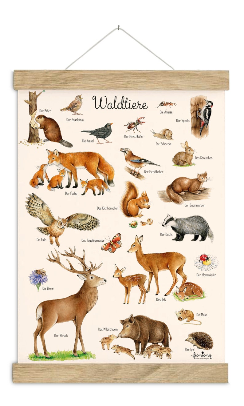 May include: A colorful illustrated chart featuring various forest animals, including a fox, squirrel, deer, owl, badger, and more. The chart is titled "Waldtiere" in German, which translates to "Forest Animals".