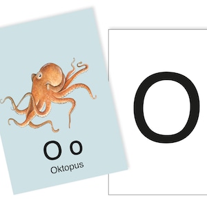 1 Postkarte O wie Oktopus Ergänzungskarte zum ABC Karten Set