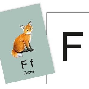 1 Postkarte F wie Fuchs Ergänzungskarte zum ABC Karten Set