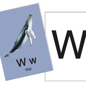 1 Postkarte W wie Wal Ergänzungskarte zum ABC Karten Set