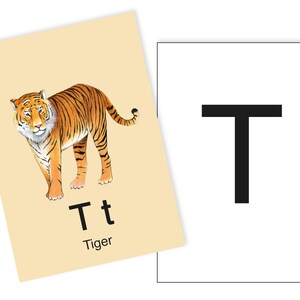 1 Postkarte T wie Tiger Ergänzungskarte zum ABC Karten Set