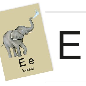 1 Postkarte E wie Elefant Ergänzungskarte zum ABC Karten Set